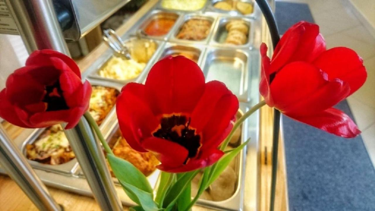 Serce Sokolka Εξωτερικό φωτογραφία